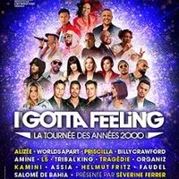 I Gotta Feeling - La Tournée des Années 2000