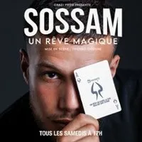 Sossam - Un Rêve Magique - Petit Palais des Glaces, Paris