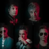Babasonicos