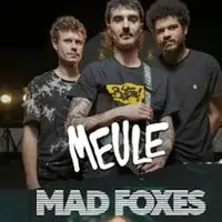 Konzert Meule