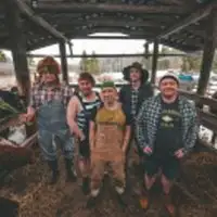 Concerts Steve'n'seagulls