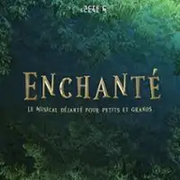 Enchanté, Le Musical Déjanté !