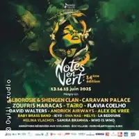 Festival, Concerts Taïro