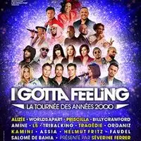 I Gotta Feeling - La Tournée des Années 2000