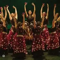 Musical Show Yeraz Compagnie