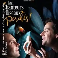 Les Chanteurs D'Oiseaux, Perchés !