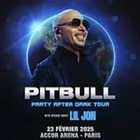 Pitbull - Accor Arena - Paris Bercy - 12/06/2025