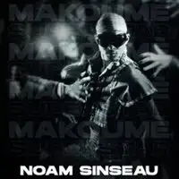 Humour Noam Sinseau