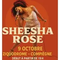 Sheesha Rose - Disco
