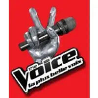 The Voice - La Casting Officiel
