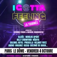 Concerts I Gotta Feeling - La Tournée - Le Show 100% Années 2000