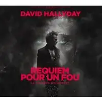 David Hallyday - Requiem pour un Fou - Tournée