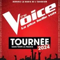 Conciertos The Voice