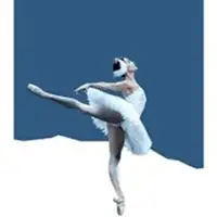 Musikalische Show, Klassik & Oper Opéra De Paris - Toute La Saison