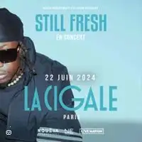 Concerts Still Fresh