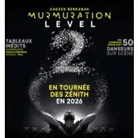 Murmuration Level 2 - Chorégraphié par Sadeck Berrabah - Tournée