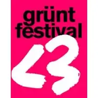 Festival, Concerts Grünt Festival