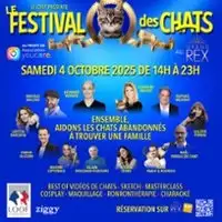 Le Festival des Chats - Evènement Caritatif au Profit de l'Association YouCare