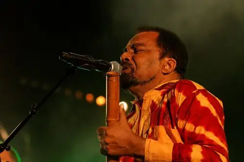 Concerts  Bonga