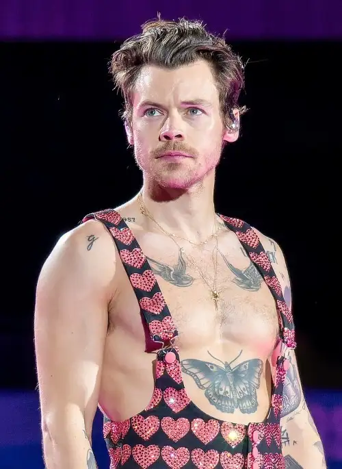 Concerts Harry Styles