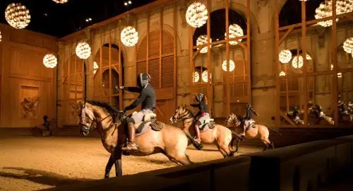 Spectacle Musical, Classique & Opéra Académie Équestre De Versailles