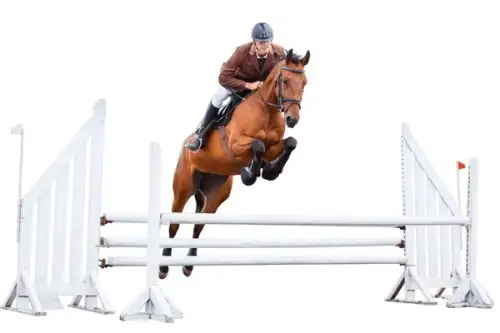 Le Saut Hermès