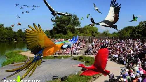 Parc des Oiseaux
