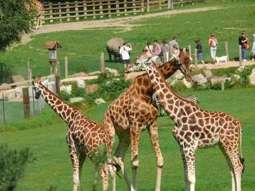 Zoo de Cerza