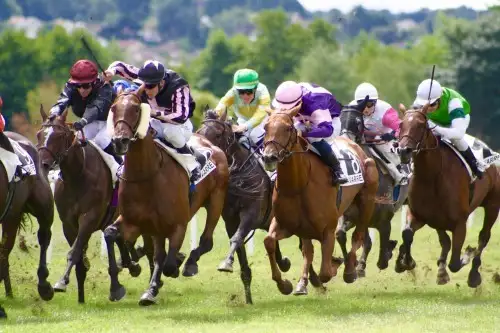 Hippodrome de Navarre