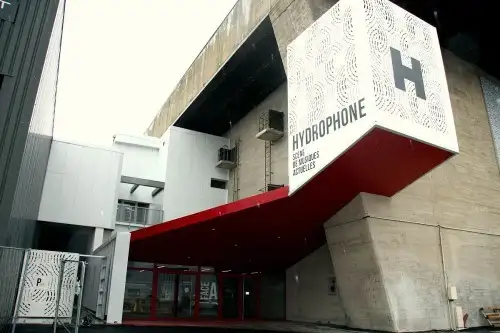 Hydrophone