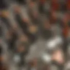 Orchestre National Montpellier Occitanie