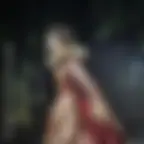 Le Soulier de satin - Festival d'Avignon
