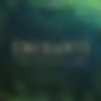 Enchanté, Le Musical Déjanté !