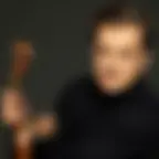 Renaud Capuçon