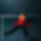 Noé