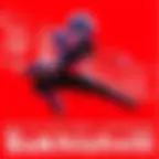 Sukhishvili - Le Ballet National de Géorgie