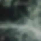 The Horrors