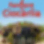 Fanfare Ciocarlia - Tournée