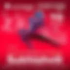 Le Ballet National De Géorgie