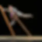 CIRCUS INCOGNITUS