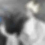 LE ROI ET L'OISEAU