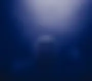 ZEVENT concert événement