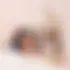 Voyou