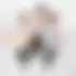 Zut