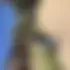 Corentin