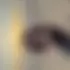 Leïlouna