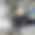 VERONIQUE