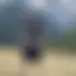 Valentin