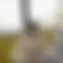 Wassim