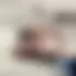 Eline